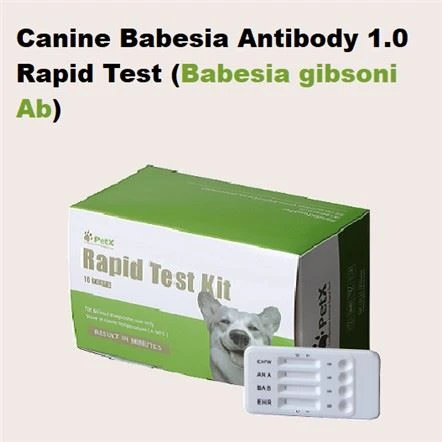 Babesia Ab
